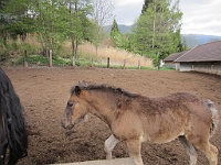 IMG 0054