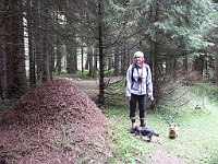 PICT2867  Langs hanneke een enorme mierenhoop, de hondjes weten schijnbaar vanzelf dat ze daar beter niet heen kunnen gaan.