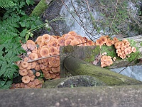 PICT2881B