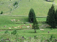 IMG 0175