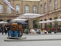 IMG 0276