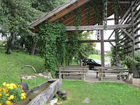 IMG 0549