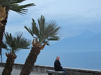 IMG 0730