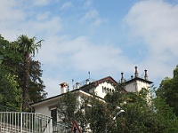 IMG 0739