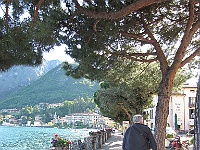 IMG 0763