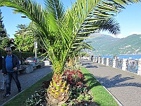 IMG 0766