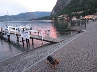 IMG 0768