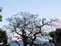 IMG 0769