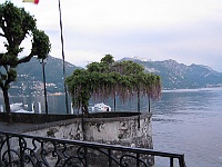IMG 0771