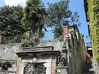 IMG 0790