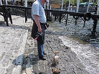 IMG 0791