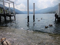 IMG 0794