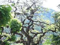 IMG 0815
