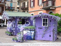 IMG 0816
