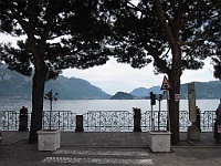 IMG 0818