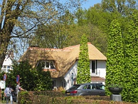 IMG 1108