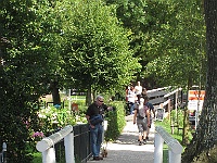 IMG 3269