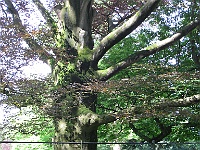 IMG 4179