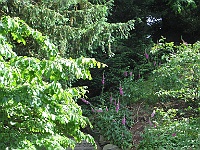 IMG 4181