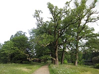 IMG 4185