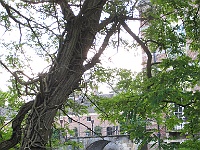 IMG 4191