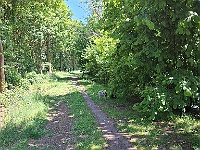 20250520 143402  rondom een ander meer. stond gemeld als strand maar dat was er niet. Wel was het hier zo rustig dat de honden los konden rondlopen. Ze bleven redelijk in de buurt en luisterden. Vooral Tzaric hield ons goed in de gaten. Mooie training, we konden zien dat ze bij ons wilden blijven.